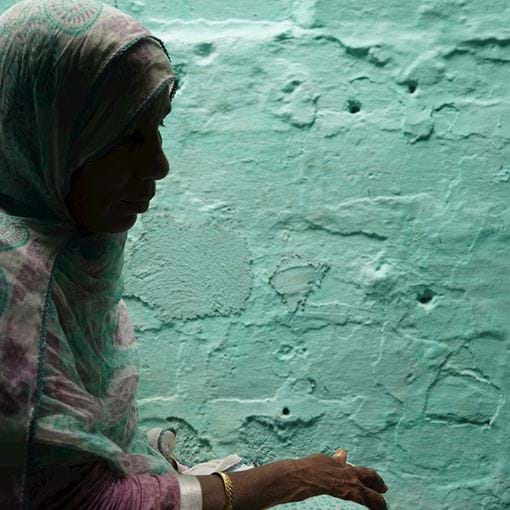 Lady in front of mint wall, Pakistan