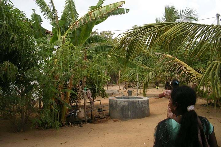 Outdoor image with trees and women looking into distance, Sri Lanka