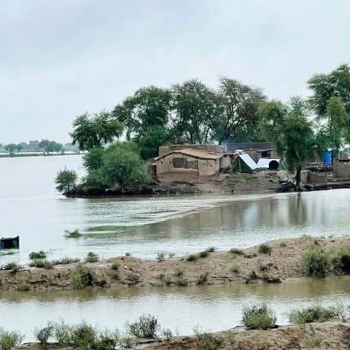Urgent Support Needed As 30 Million Affected By Pakistan’S Monsoon Rains And Floods 5
