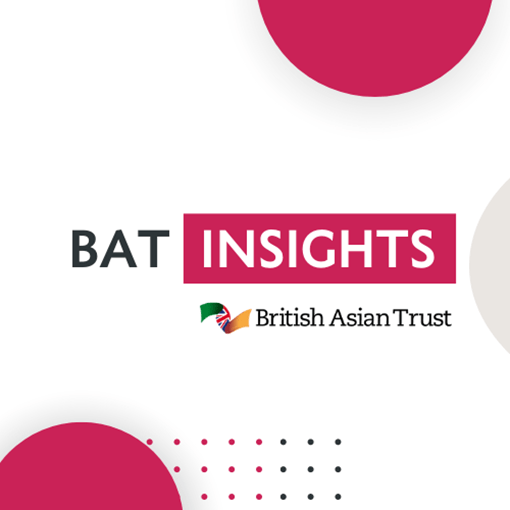 BAT Insights (Logo)