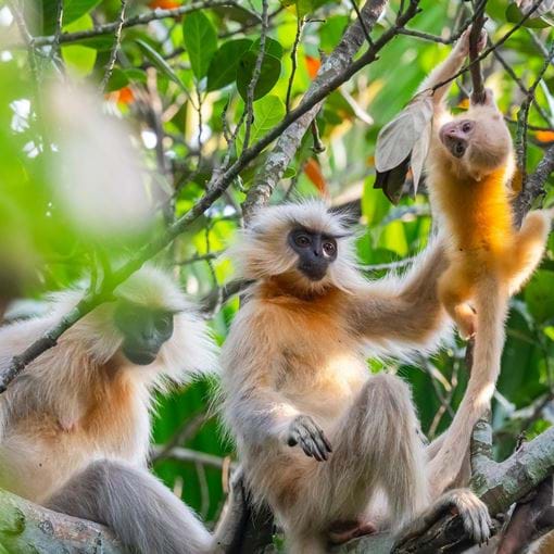 Shutterstock 2289676697 (1)