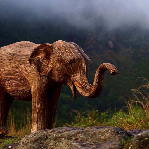 Nilgiri Elephant In The Mist