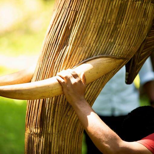 Anatomically Perfect Replicas Of The Real Wild Elephants In The Nilgiri Biosphere Reserve