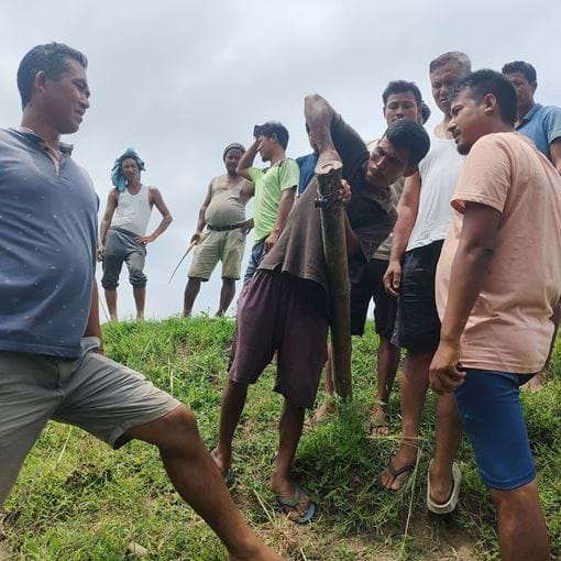 Villagers During Working On Solar Fence In Majuli Embankment (1)
